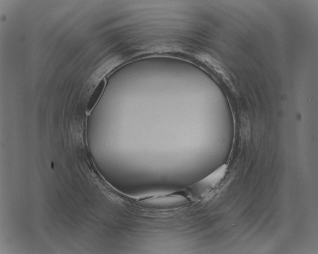 X0000070401273200606231753