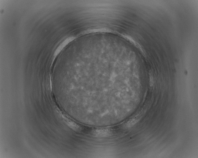 X0000070401274200606231753