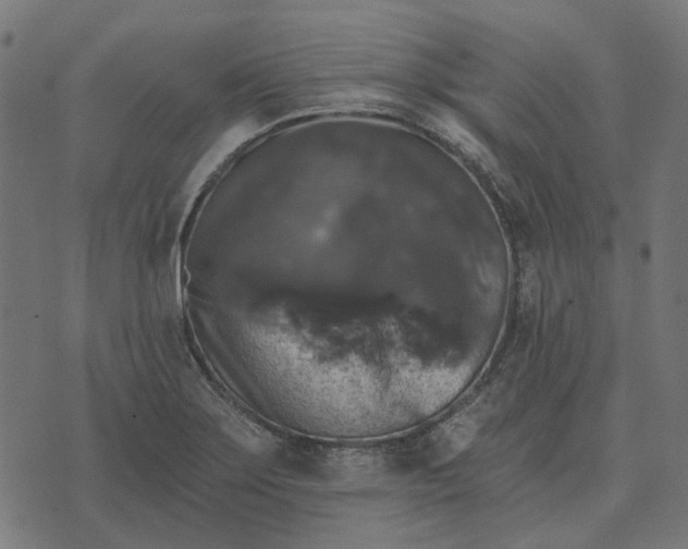 X0000070401275200606231753