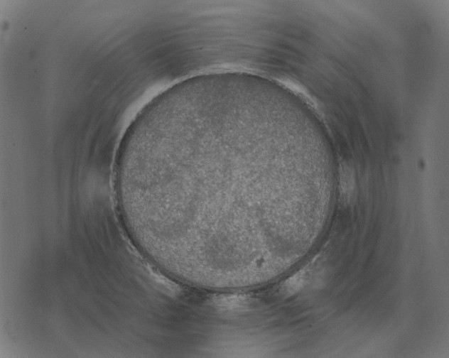 X0000070401278200606231753