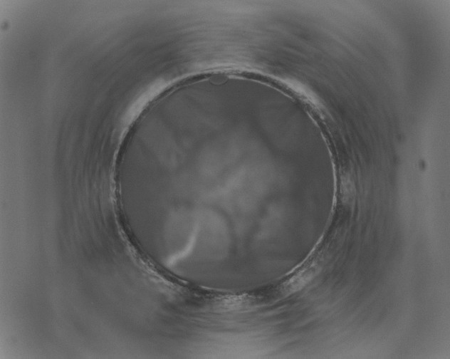 X0000070401279200606231753