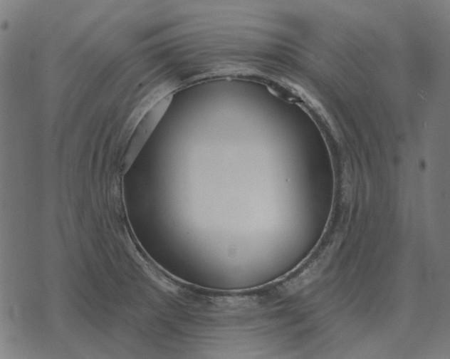 X0000070401281200606231753