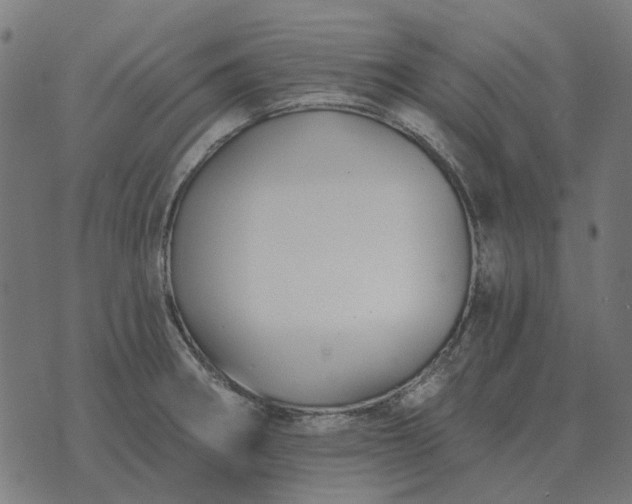 X0000070401282200606231753