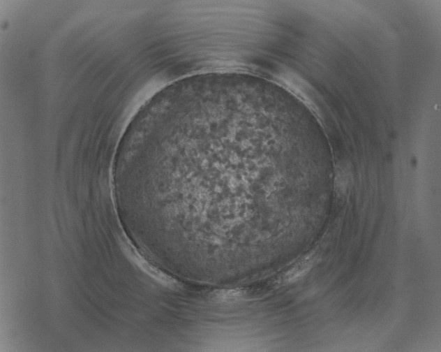 X0000070401283200606231753