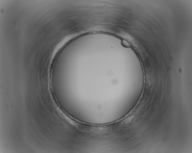 X0000070401286200606231753