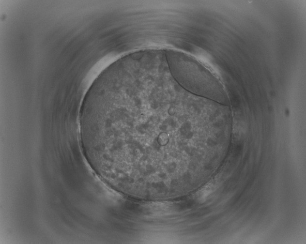 X0000070401287200606231753