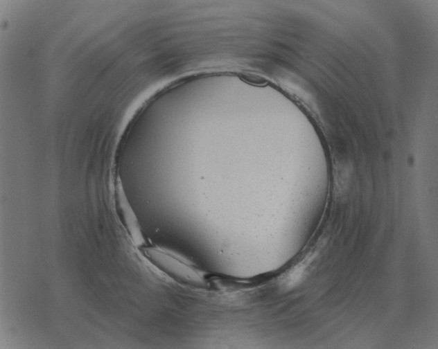 X0000070401288200606231753