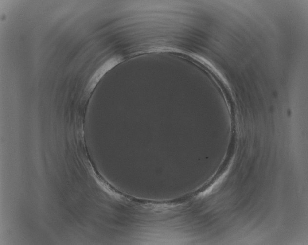 X0000070401289200606231753