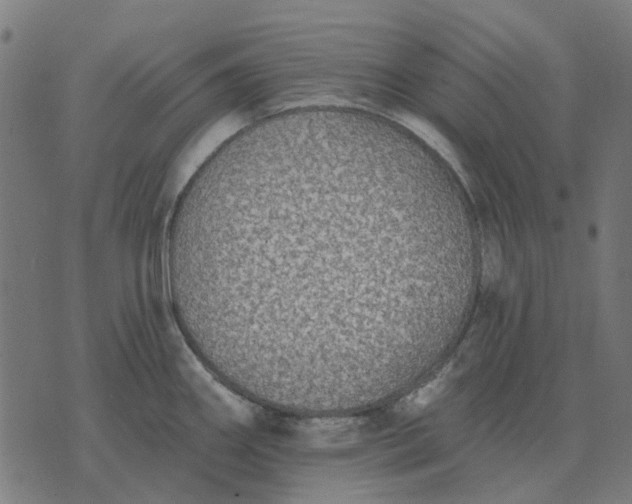 X0000070401290200606231753