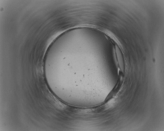 X0000070401292200606231753