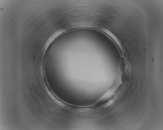 X0000070401293200606231753