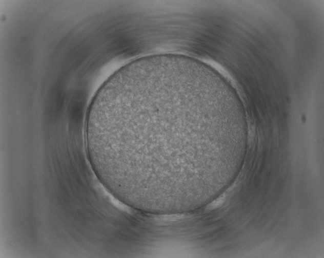 X0000070401294200606231753