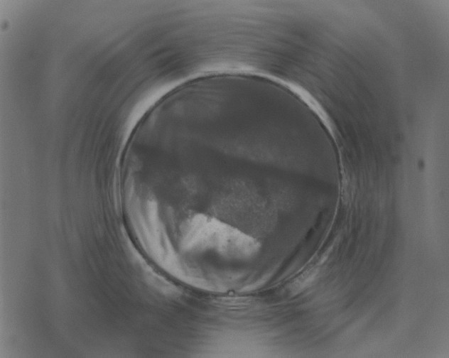 X0000070401295200606231753