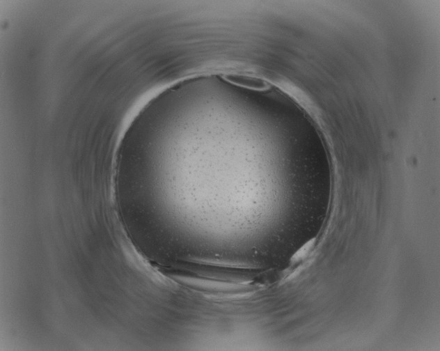 X0000070401296200606231753