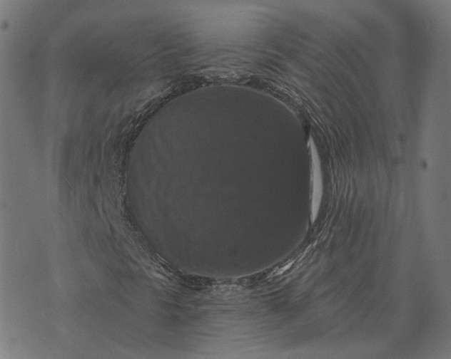 X0000070401297200606231752