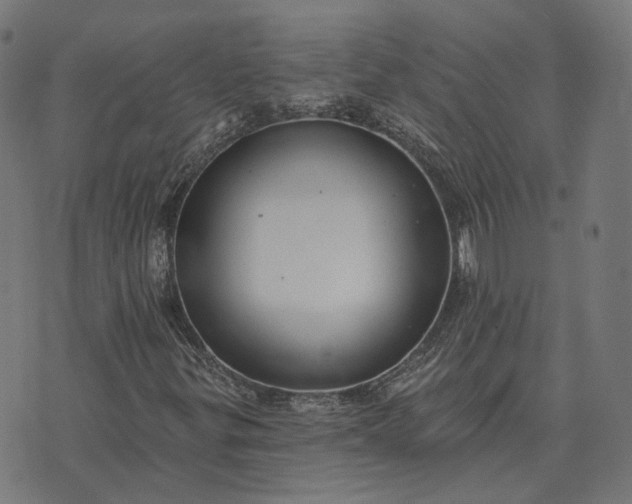 X0000070401299200606231752