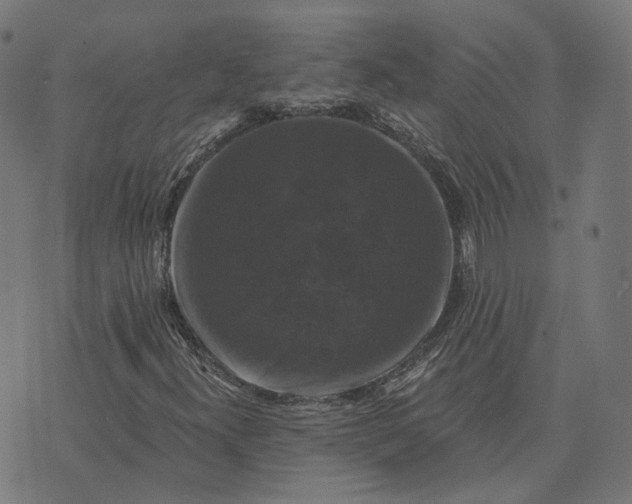 X0000070401300200606231752