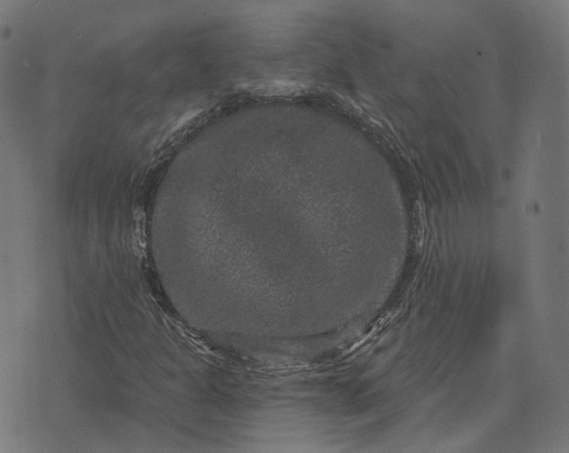 X0000070401301200606231752