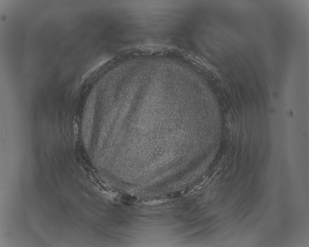 X0000070401302200606231752