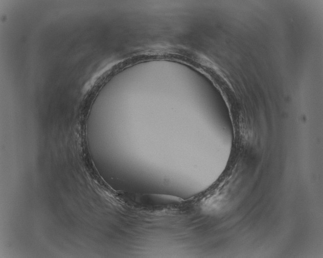 X0000070401304200606231752