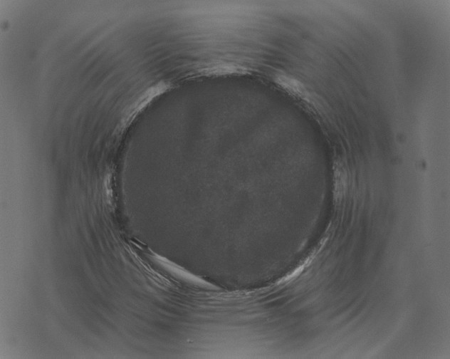 X0000070401305200606231752