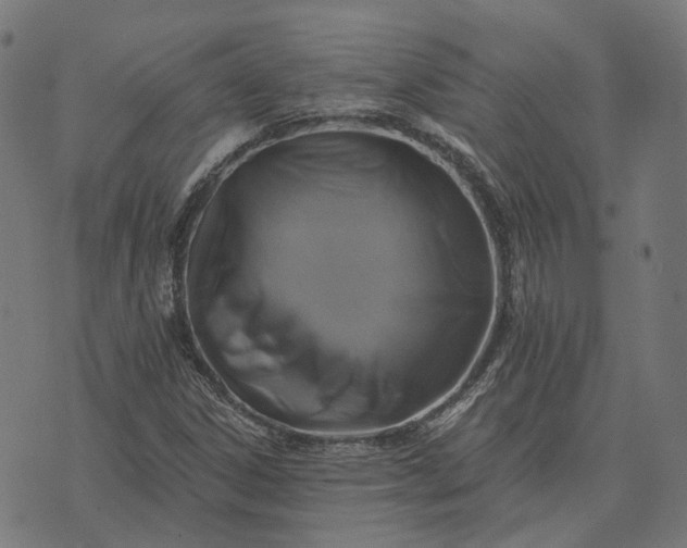 X0000070401306200606231752