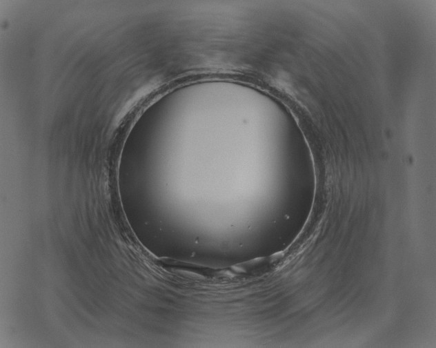 X0000070401307200606231752