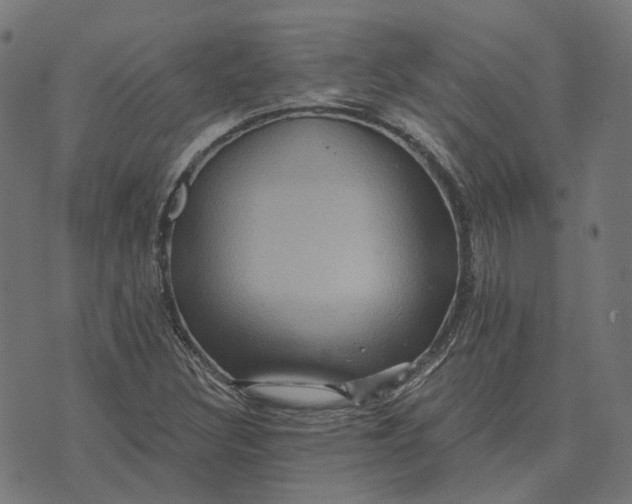 X0000070401308200606231752