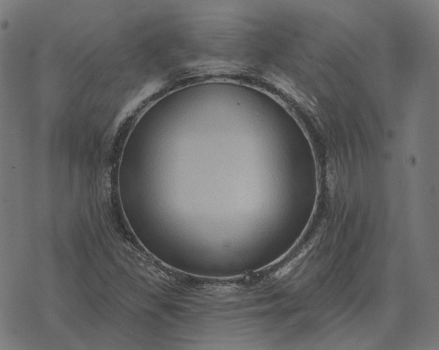 X0000070401309200606231752