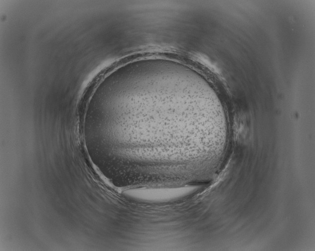 X0000070401310200606231752