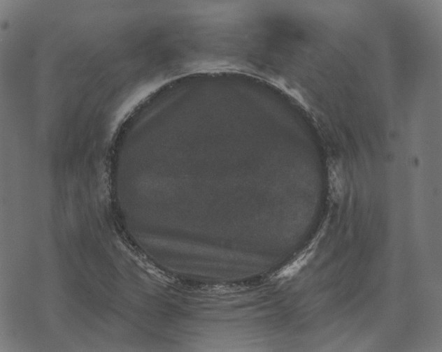 X0000070401311200606231752