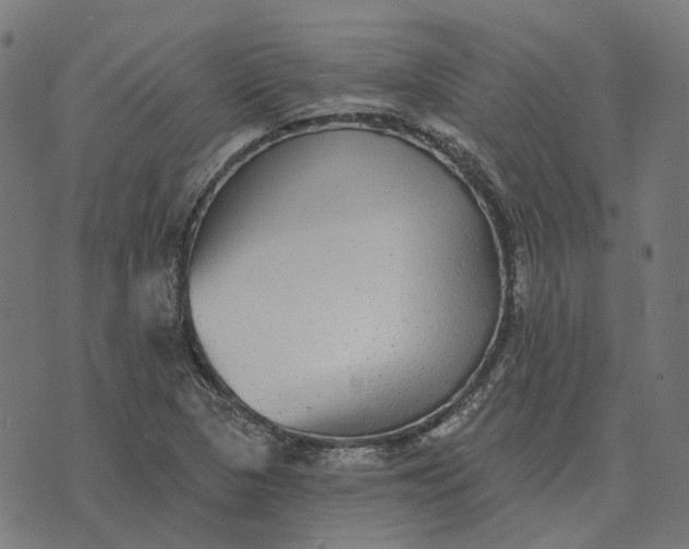 X0000070401313200606231752