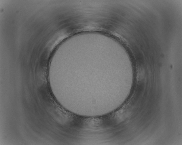 X0000070401314200606231752