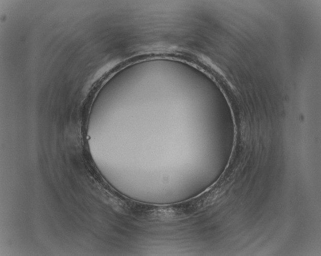 X0000070401315200606231752