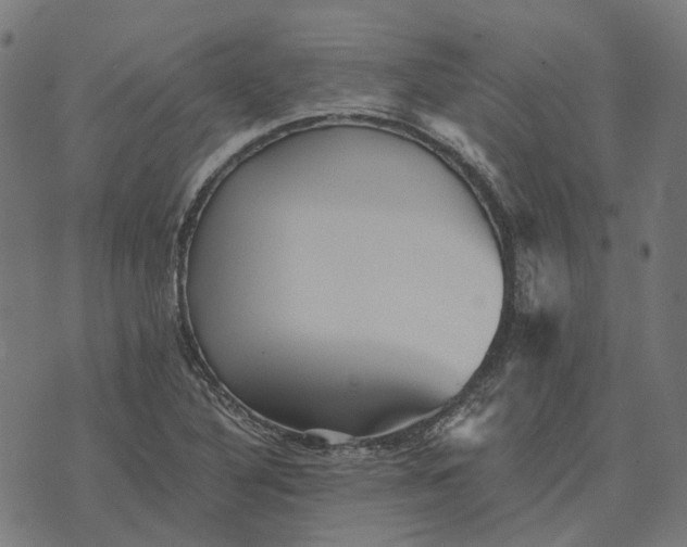 X0000070401316200606231752