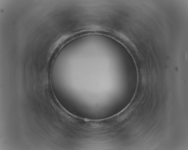 X0000070401318200606231752