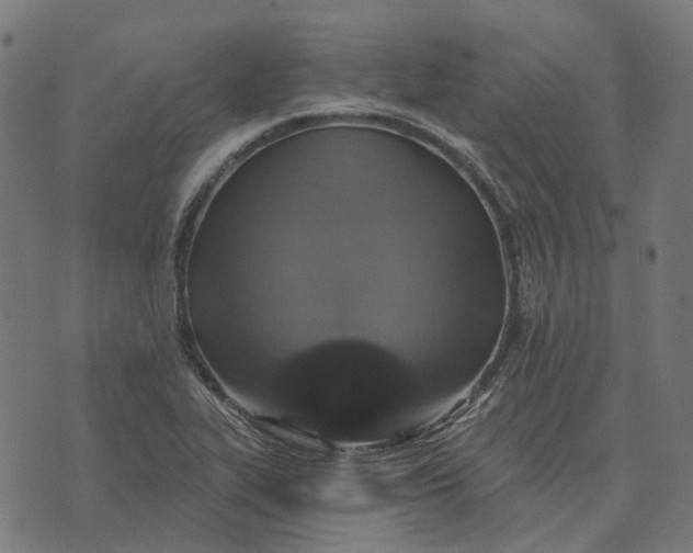 X0000070401319200606231752