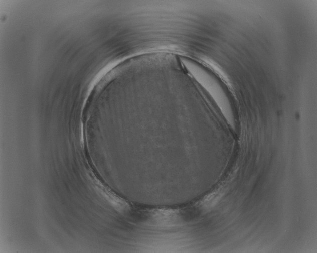 X0000070401324200606231753