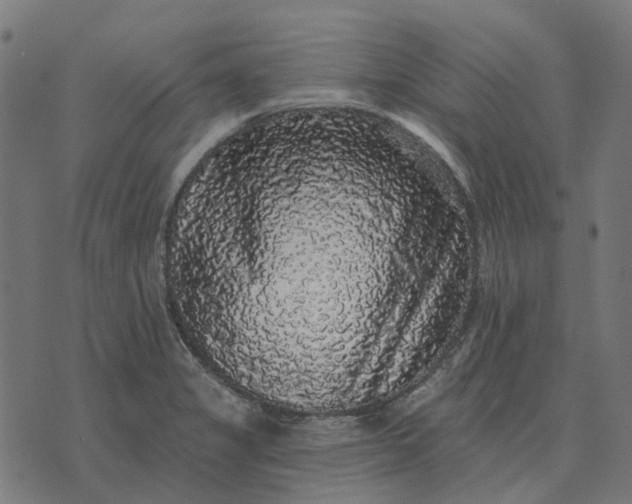 X0000070401325200606231753