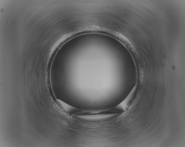 X0000070401326200606231753