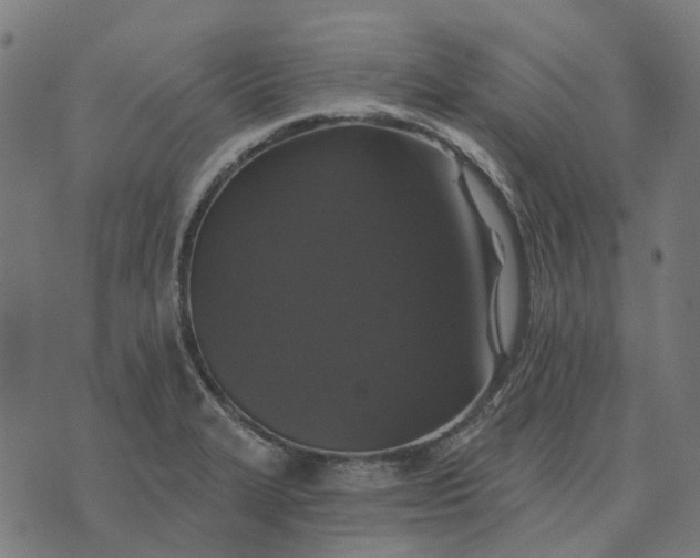 X0000070401327200606231753