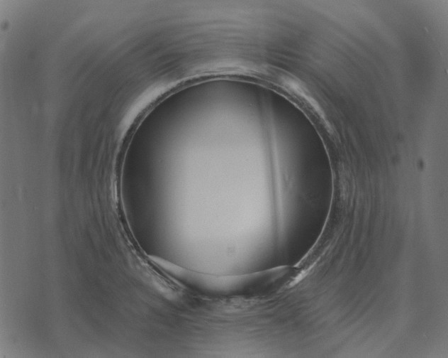 X0000070401328200606231753