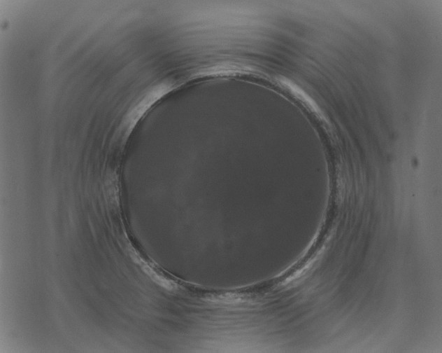 X0000070401329200606231753