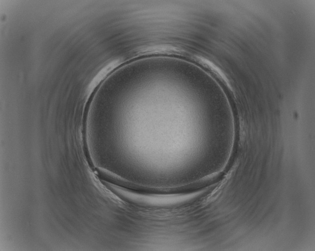 X0000070401330200606231753