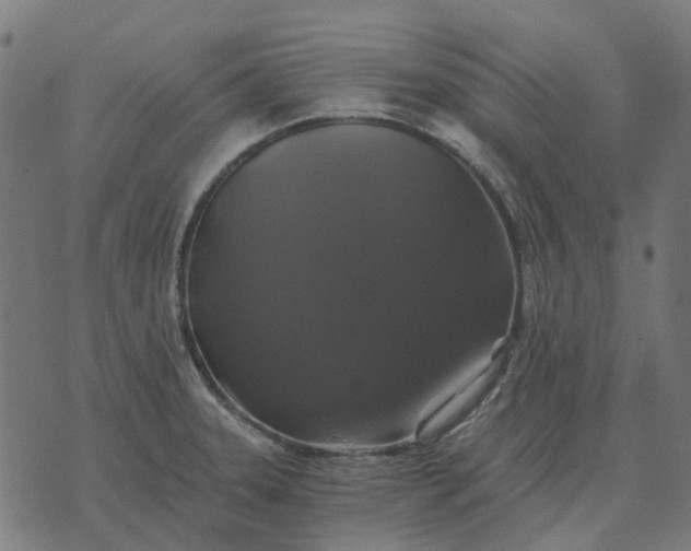 X0000070401331200606231753