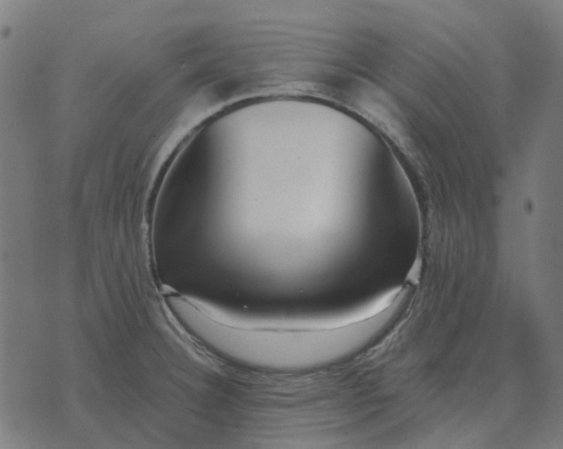 X0000070401332200606231753