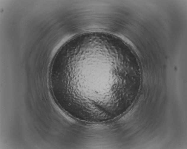 X0000070401333200606231753