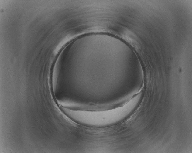 X0000070401334200606231753