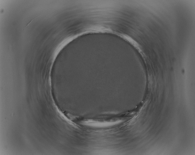 X0000070401335200606231753