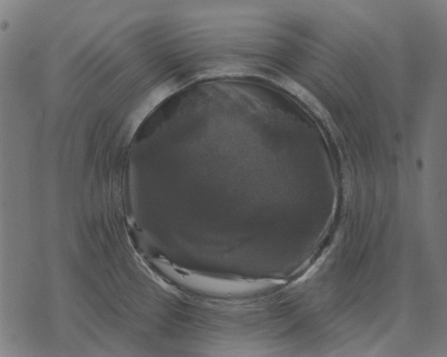 X0000070401337200606231753